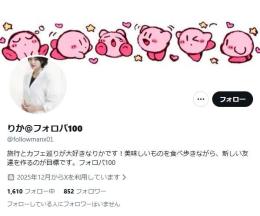【高アクティブ】日本人フォロワー849人 Noシャドウバン 気取り垢 自動納品 最安値