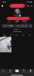 引退垢