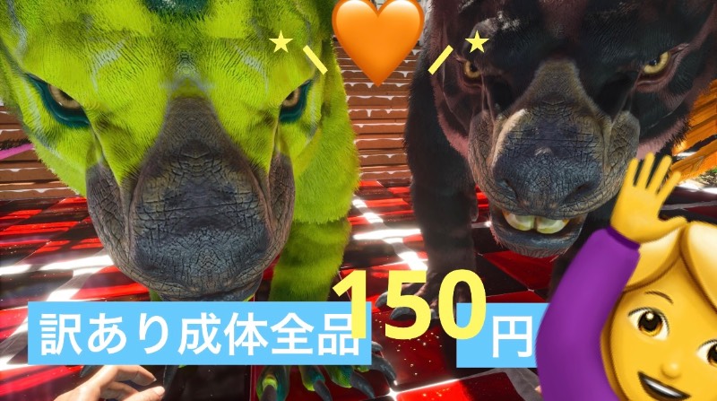 出品画像