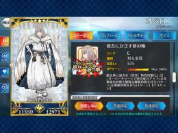 水着沖田オルタ＆キャストリア＆マーリン＆孔明＆コヤンスカヤ＆オベロン宝具5共存