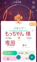 専用