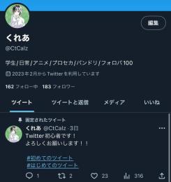 日本人相互垢 ﾌｫﾛﾜｰ150↑ スタートアップ垢 オールグリーン