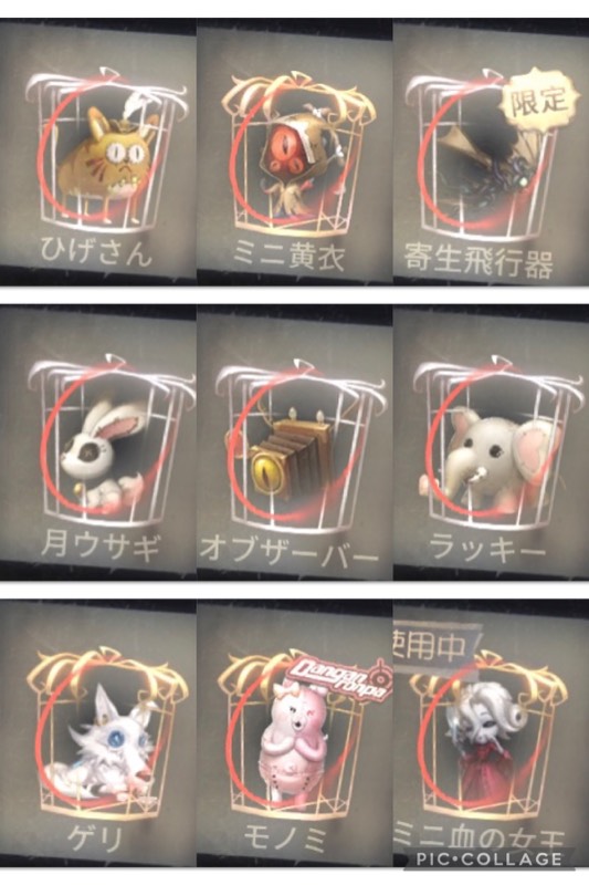 出品画像