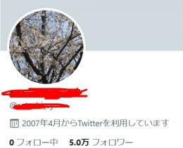 【ShadowBan無】5万人日本気取りアカウント【値段交渉可能】