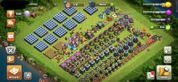 🌟未連携🌟TH14🌟80.80.55.30.BM30🌟ペット4.4.2.2