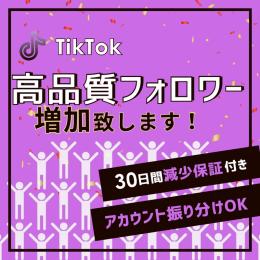🌟【特価】赤字覚悟🌟TikTokフォロワー500人増やします