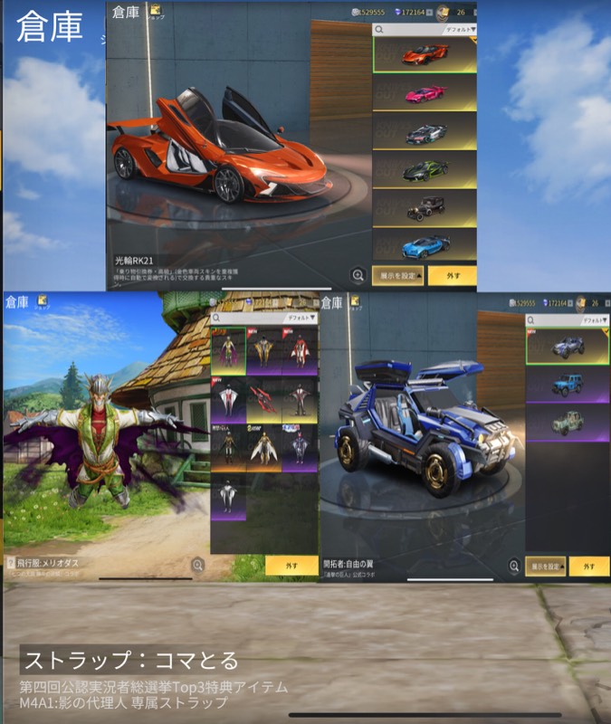 出品画像