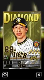 輝監督50枚