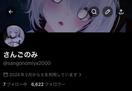 フォロワー 6500↑ 希少 VRCHAT向けXアカウント