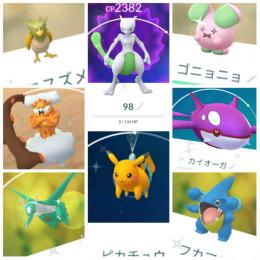 東京産色違いミュウツー98%＆カイオーガ＆ラティオス 他多数 通常マネネ アカウント販売