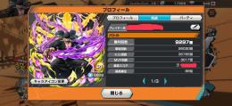 ランク118ランカー垢✨全属性165%↑