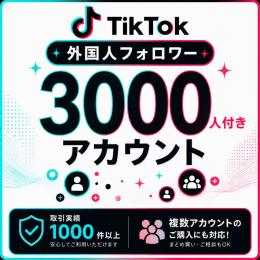 フォロワー3000人付きアカウント販売｜オールドアカウント〈取引実績1000件以上〉