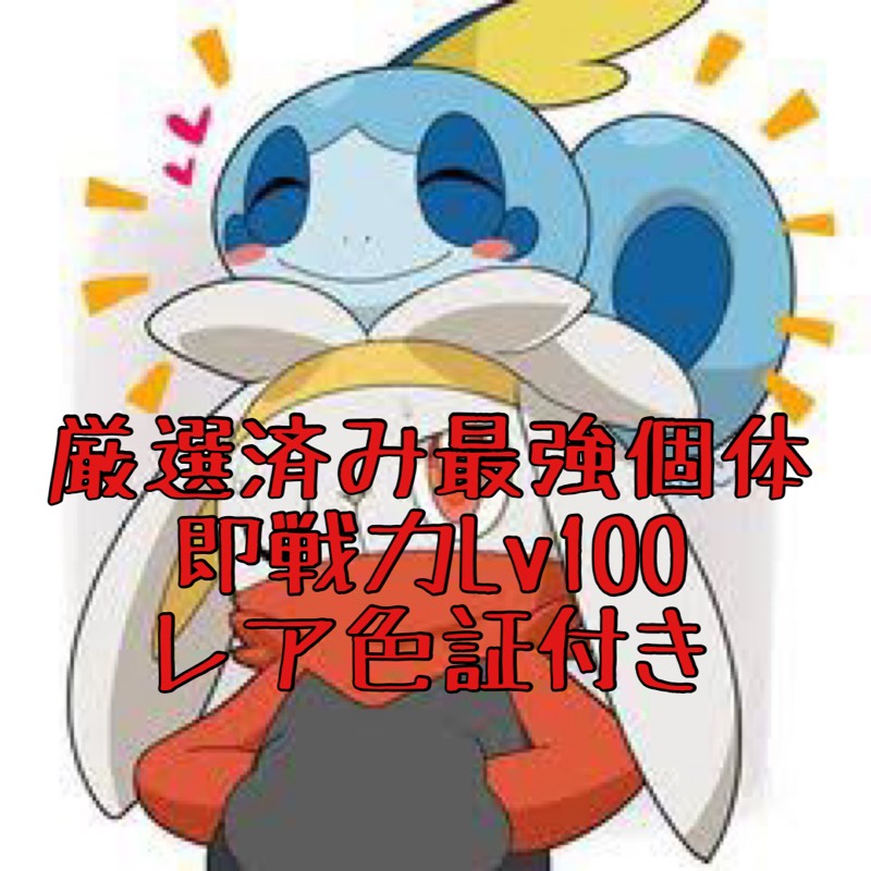 出品画像