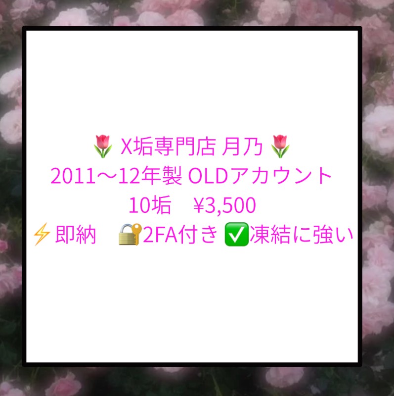 出品画像