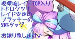 現環境レイドトップ入り トドロクツキ&ブラッキー  色違い
