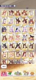 引退垢【ウマ娘99体サポカSSR116枚】