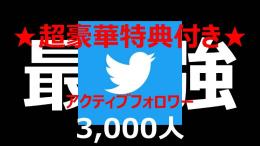 ※お値引き※【★特典PDF付き★】アクティブフォロワー3,000人超！高インプレッション！日本人垢！