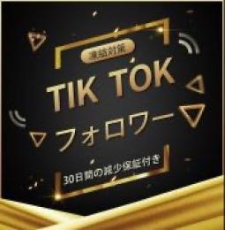 TikTokフォロワー数＋10000付与