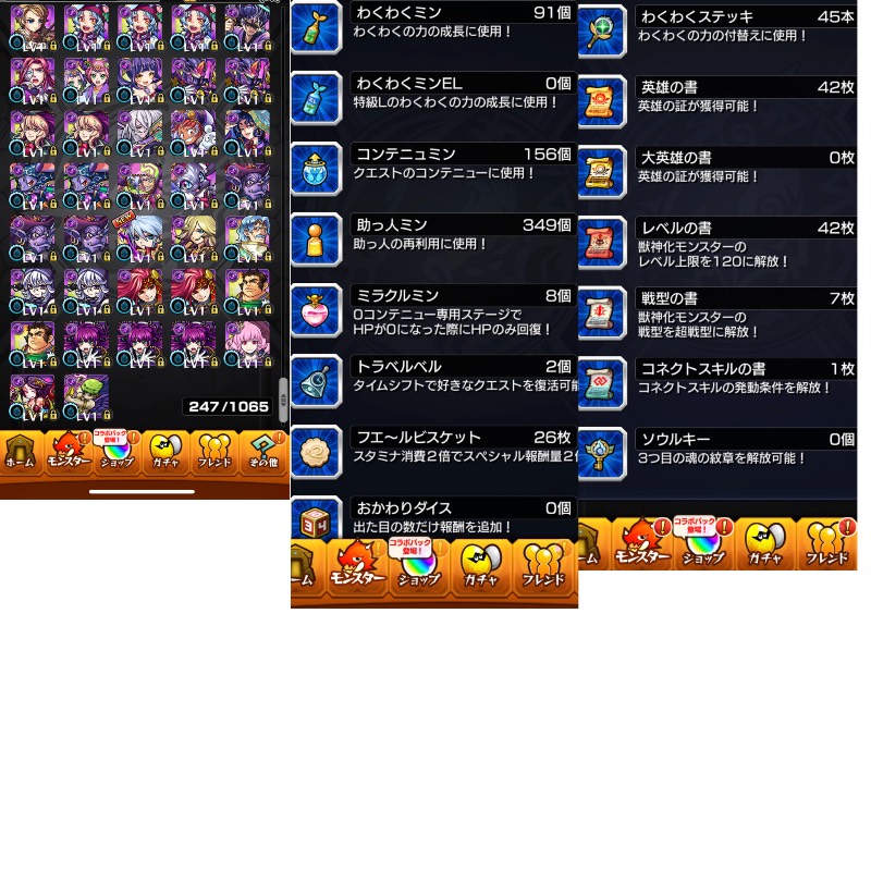 出品画像