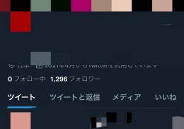 🔥高アクティブ日本人🔥1296フォロワー 月間インプ150万↑いいね~289↑【値下げ交渉可✔️】
