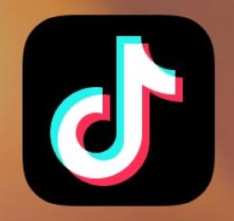 Tiktok 10000人フォロ爆🌟即対応🌟北米フォロワー 減少報告無✅