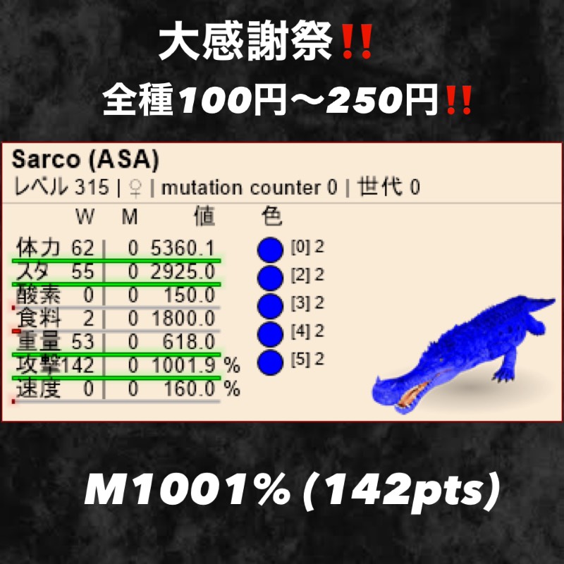 出品画像