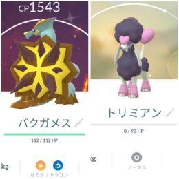 東京産色違いバクガメス♂＆トリミアンハート コイル アカウント販売