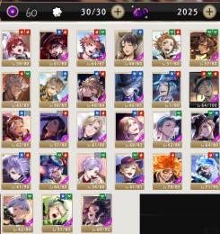 ランク60、SSR27体、魔法石2035個、ツイステアカウント