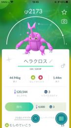 【アカウント】色違いヘラクロス(国産)・色違いホルビー2体・色違いタマタマ・色違いニョロモ