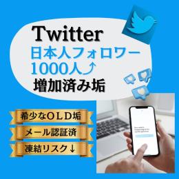 🌟お値下価格🌟高評価 日本人🇯🇵フォロワー1000人↑ ツイッターOLDアカウント × 10個
