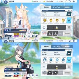 【破格】🌈限定セイア 水着シロコ 青輝石91370個 初期垢
