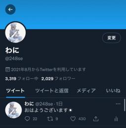 日本人フォロワー2029人　平均いいね410 超高アクティブアカウント