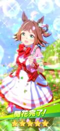 今だけの特価【ジュエル130000↑】最新ラインクラフト★５環境SSRサポカ5種完凸&星3ウマ娘35
