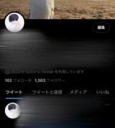 🔥高アクティブ日本人🔥1500↑フォロワー 大手裏垢男子垢 いいね~120