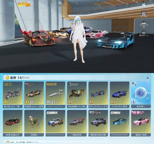 出品画像