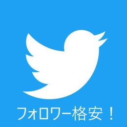 フォロ爆！フォロワー増加！減少保証あり！1000人500円から可能！格安！