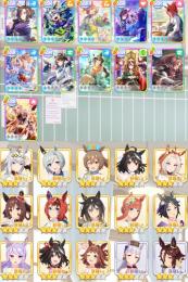 【未連携 誕生日未設定】人権サポカ5種完凸 💎52000↑