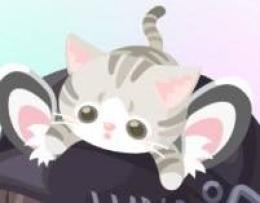 mewn頭のせ猫 専用のページを作ります。
