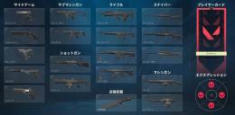 ランク可　古参　スキン無し