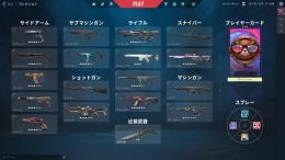 VALORANT 引退アカウント スキン多数所持