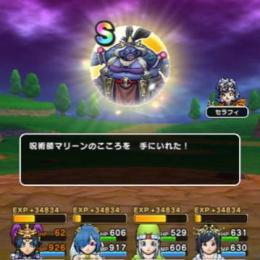 【手形不要！】竜王・マリーンなどメガモン討伐代行！