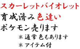 スカーレットバイオレット　育成済みレイド用　レート用　など