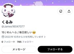 ⭐️【フォロワ700人超え】x裏アカ女子アカ【副業 夜職 収益化 シャドウバン無 】