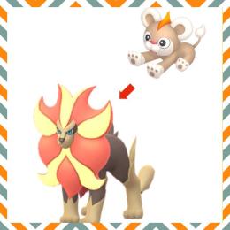 【トレード】色違いシシコ♂