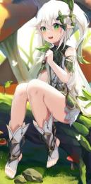 レベル10  限定【納西妲】+その他