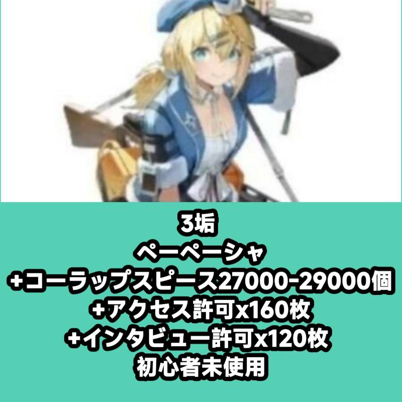 出品画像