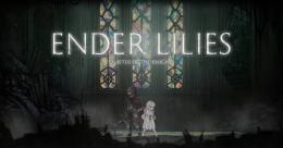 Switch  ENDER LILIES: Quietus of the Knights 代行