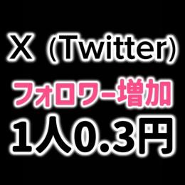 X（Twitter）フォロワー10,000人以上増加✨業界最安値✅保証あり✅