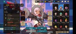 ティニア（専用武器あり）＋ルフィナ＋バリ　リセマラ上位3体共存アカ　他☆5武器1
