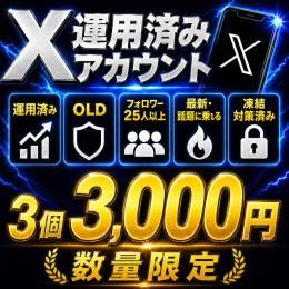 運用済み！【⚡𝕏 OLD ACCOUNT×3⚡】長期作成の希少垢🔥スムーズログイン対応🚀
